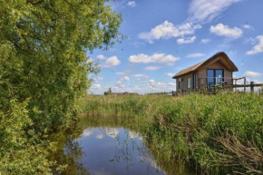 Tiny in de polders
